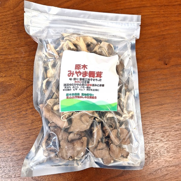 原木みやま舞茸（乾燥／35g×1）